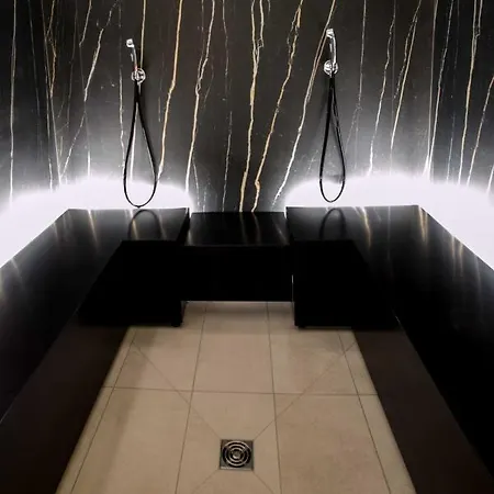 Comfort Deo Plaza * Gdaňsk